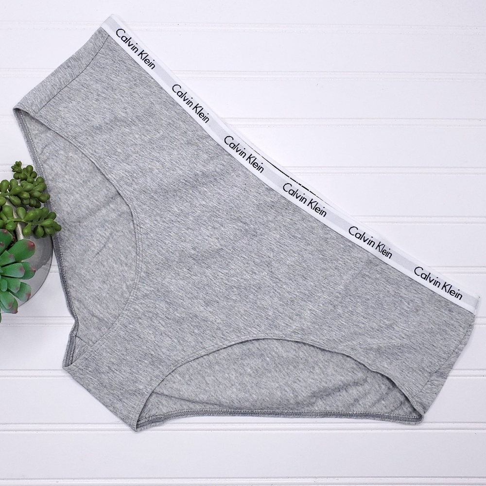 Calvin Klein Women's Hipster Panty Underwear 3X